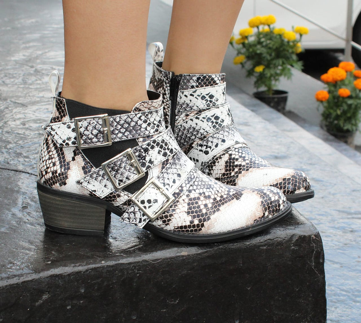 Botín Leana detalle víbora 700