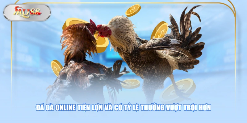 Đá gà online tiện lợn và có tỷ lệ thưởng vượt trội hơn
